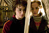 Hermione un Harijs telt